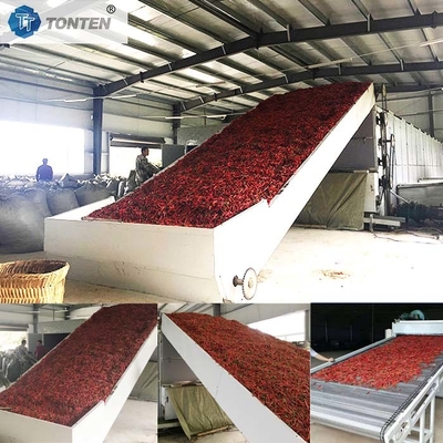 Máquina de secagem de conveyor de cinto de secagem de mandioca