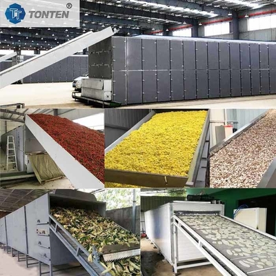 Máquina de secagem de conveyor de cinto de secagem de mandioca
