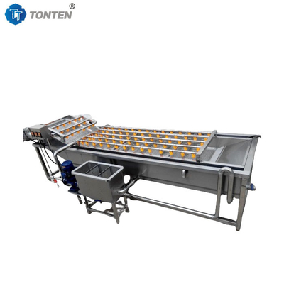 Máquina de limpeza automática de bolhas de alimentos para lavagem de frutas e vegetais