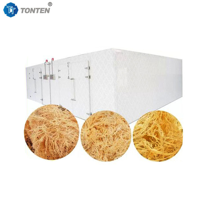 Máquina de secagem de peixe durável e higiênica para fábrica de processamento de frutos do mar