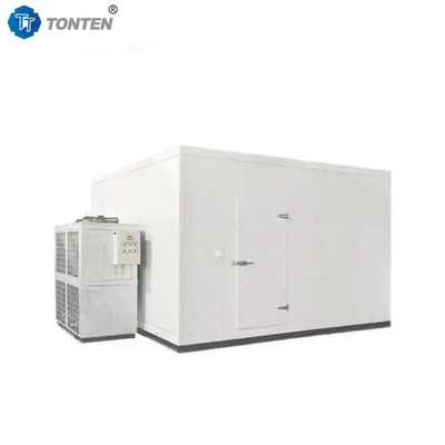 Performance confiável Armazenamento refrigerado Instalação fácil Sala de congelação